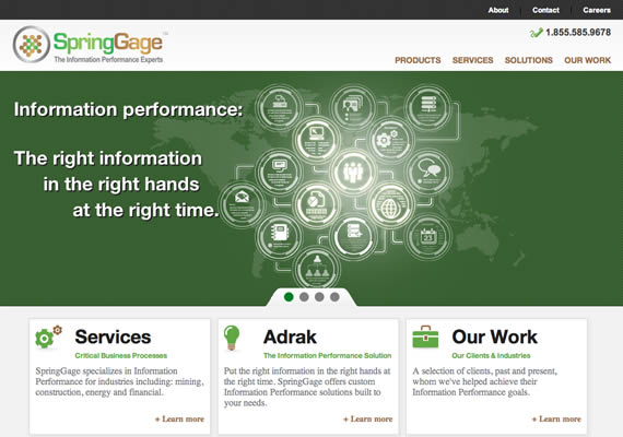 I created the IA/UX and co-designed the website for this business process management company. 